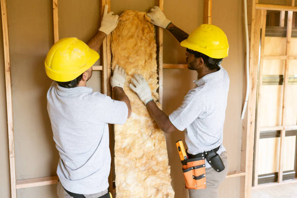 Best Insulation for New Construction  in Belmont, CA